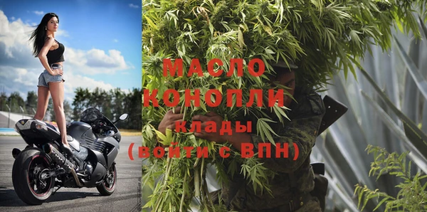 меф Ельня