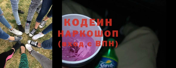 меф Ельня