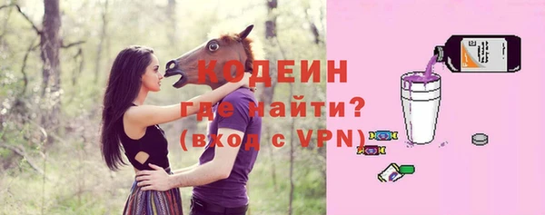 меф Ельня