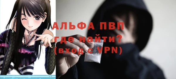 меф Ельня