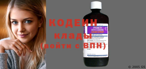 меф Ельня