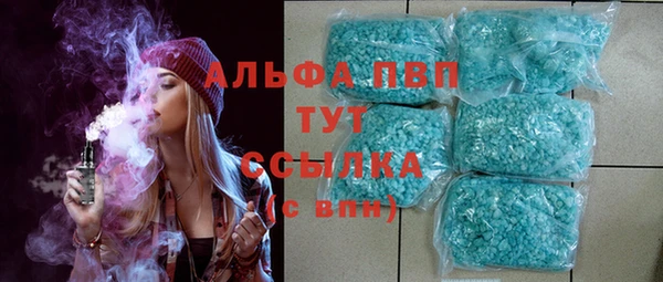 меф Ельня