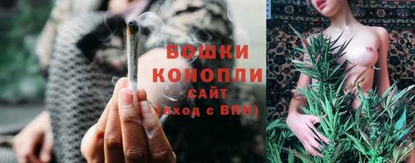 меф Ельня