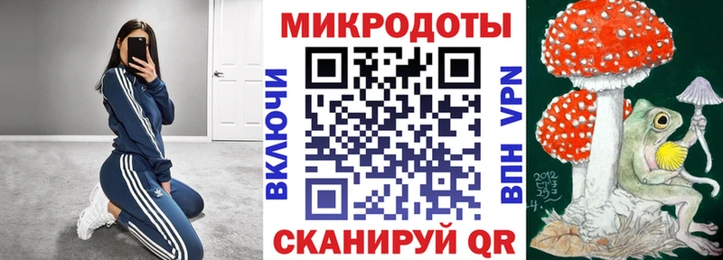 omg вход  Невинномысск  Псилоцибиновые грибы Cubensis 